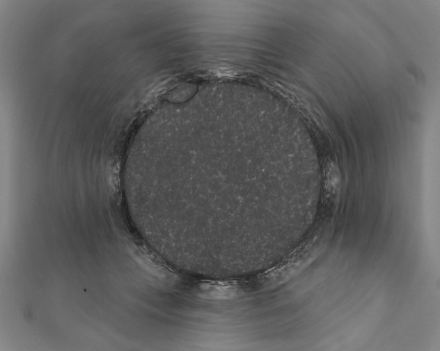 X0000111460559200908241321