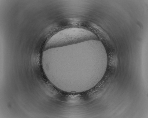 X0000111460560200908241321