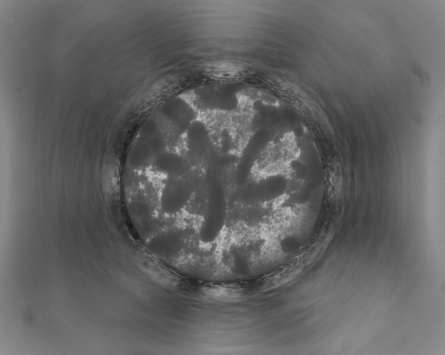 X0000111460561200908241321