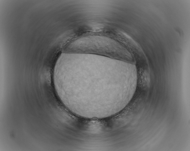 X0000111460562200908241321