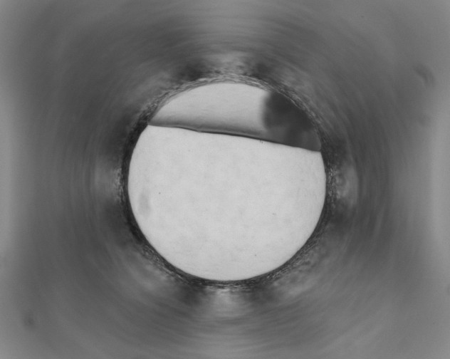 X0000111460564200908241322