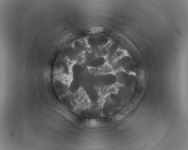 X0000111460565200908241322