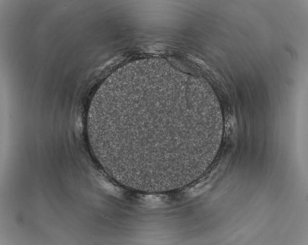 X0000111460566200908241322