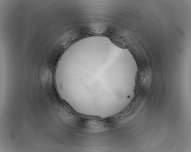 X0000111460568200908241322