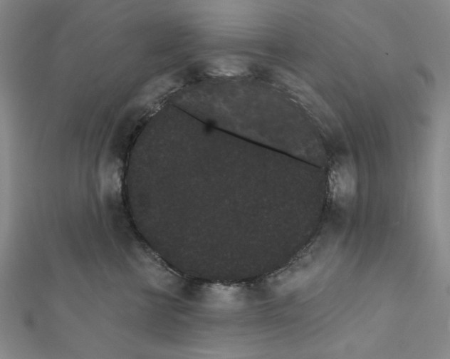 X0000111460570200908241322