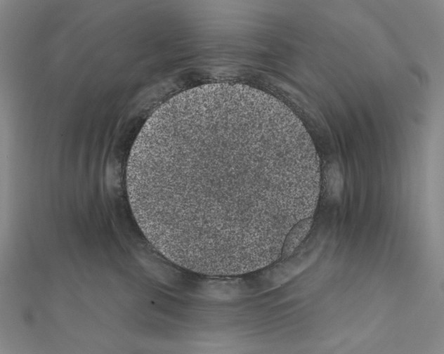 X0000111460571200908241322