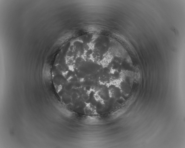 X0000111460573200908241322