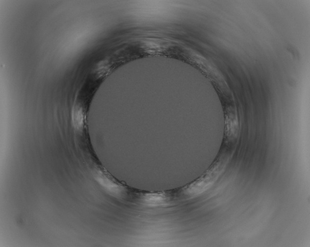 X0000111460574200908241322