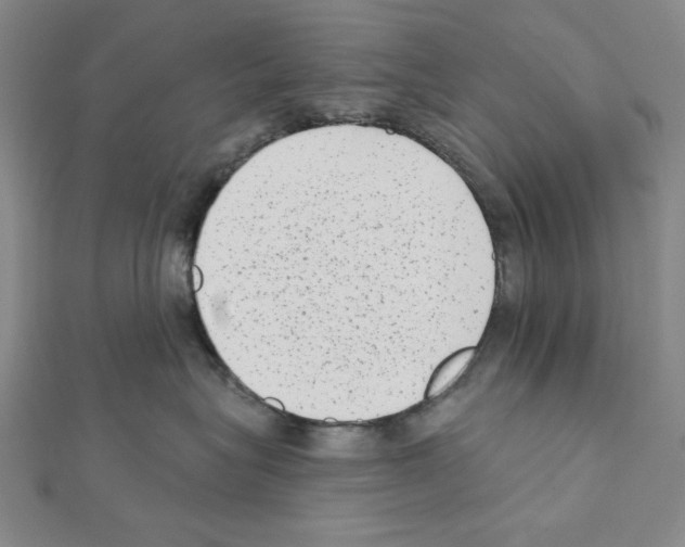 X0000111460575200908241322