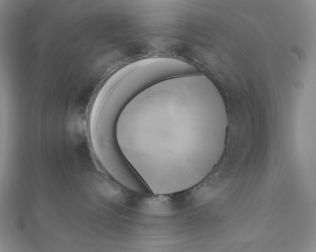 X0000111460576200908241322