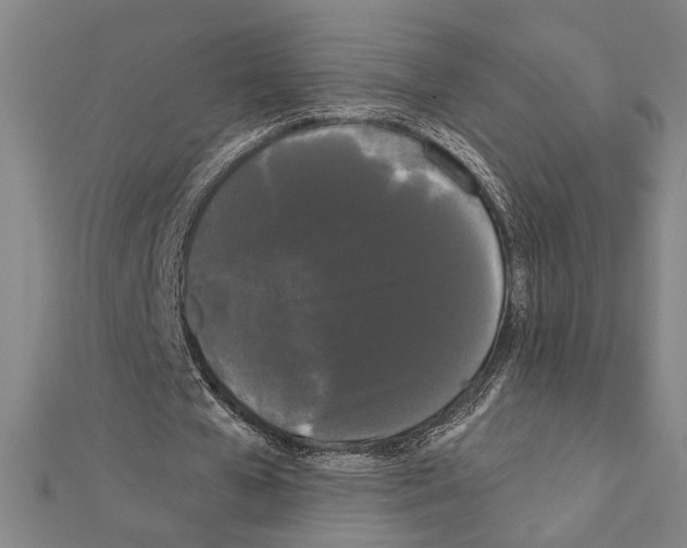 X0000111460577200908241321