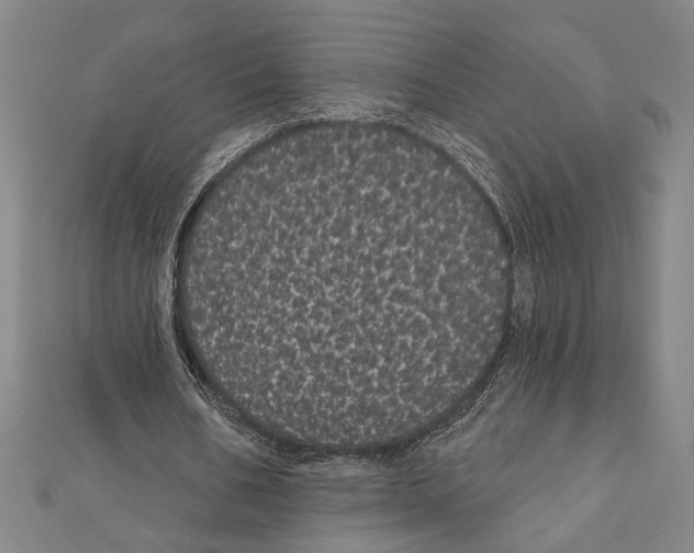 X0000111460578200908241321
