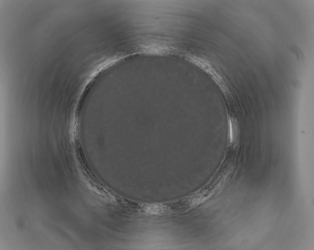X0000111460579200908241321