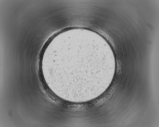 X0000111460580200908241321