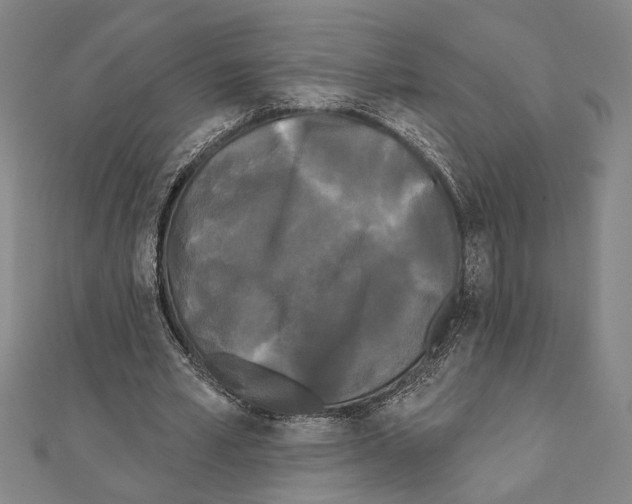 X0000111460581200908241321