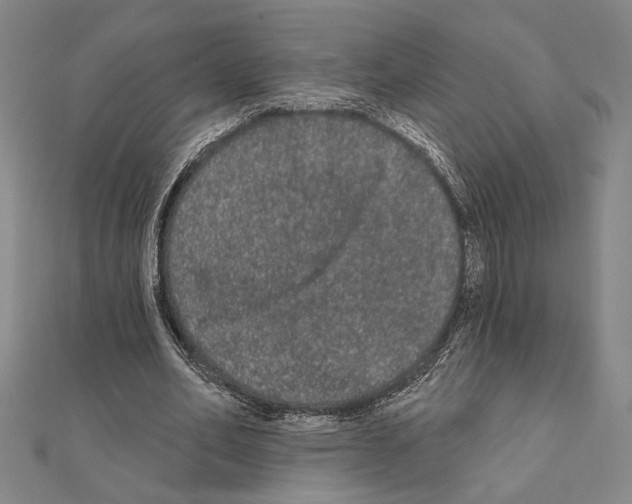 X0000111460582200908241321