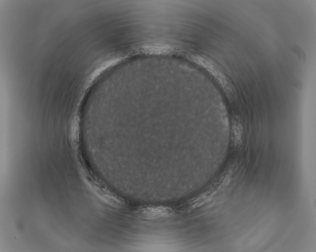 X0000111460583200908241321
