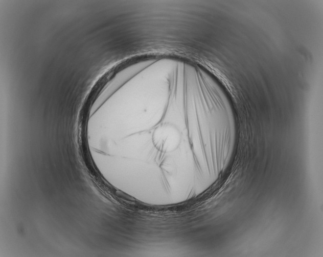 X0000111460584200908241321
