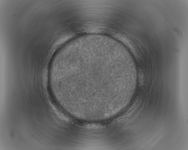 X0000111460586200908241321