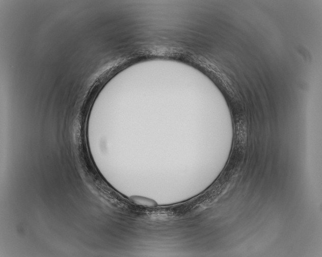 X0000111460587200908241321