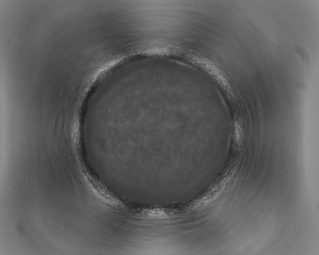 X0000111460588200908241321