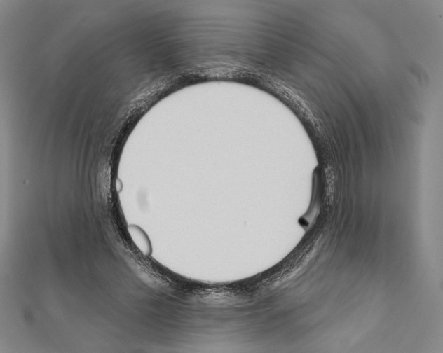 X0000111460589200908241321