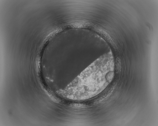 X0000111460590200908241321