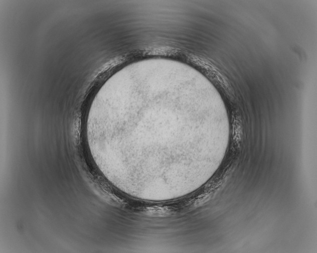 X0000111460591200908241321