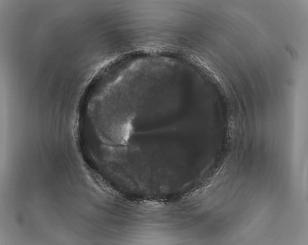 X0000111460592200908241321