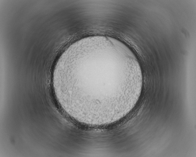 X0000111460593200908241321