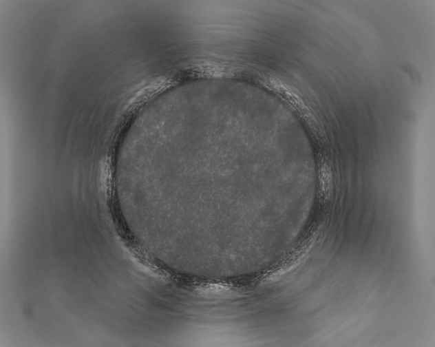 X0000111460594200908241321