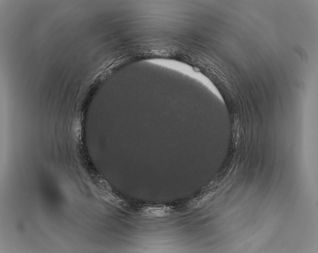 X0000111460595200908241321