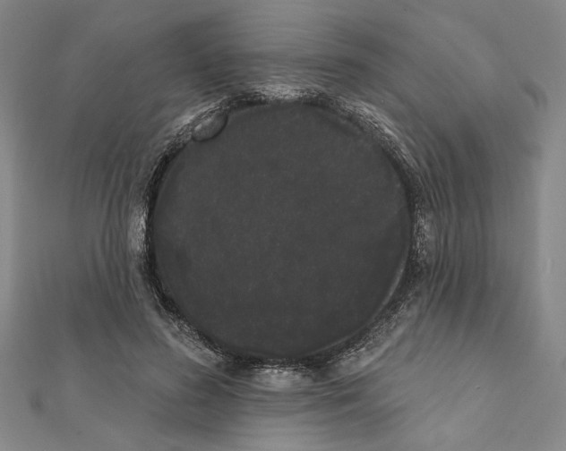 X0000111460596200908241321