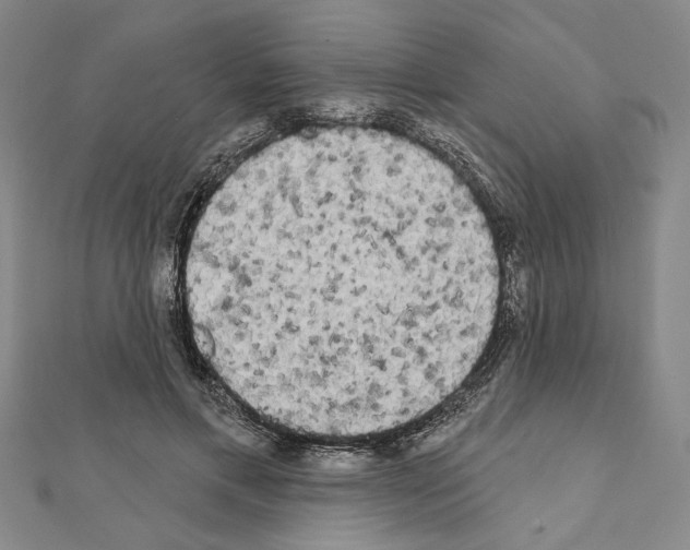 X0000111460597200908241321