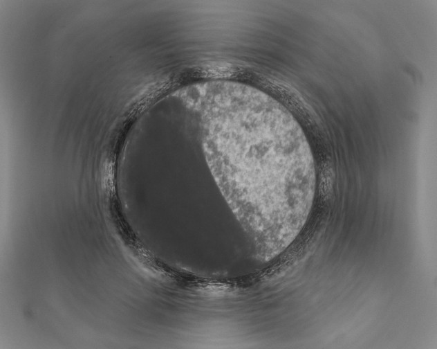 X0000111460598200908241321