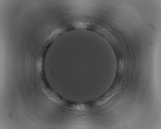X0000111460600200908241321