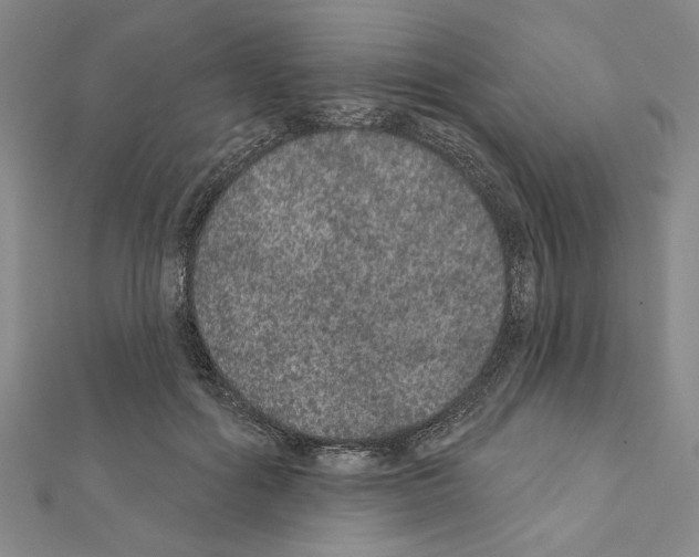 X0000111460602200908241321