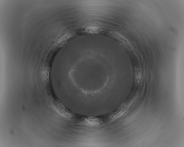 X0000111460603200908241321