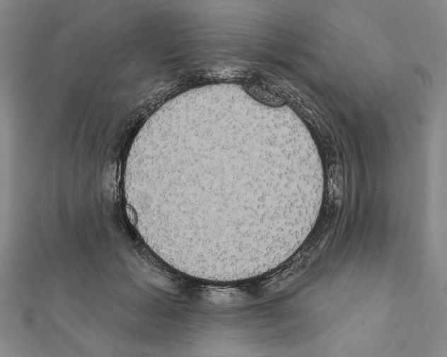 X0000111460605200908241321