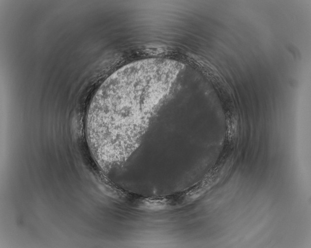 X0000111460606200908241321