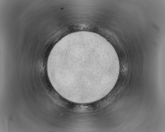 X0000111460607200908241321