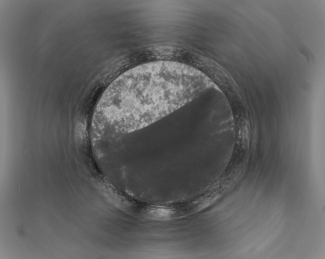 X0000111460610200908241321