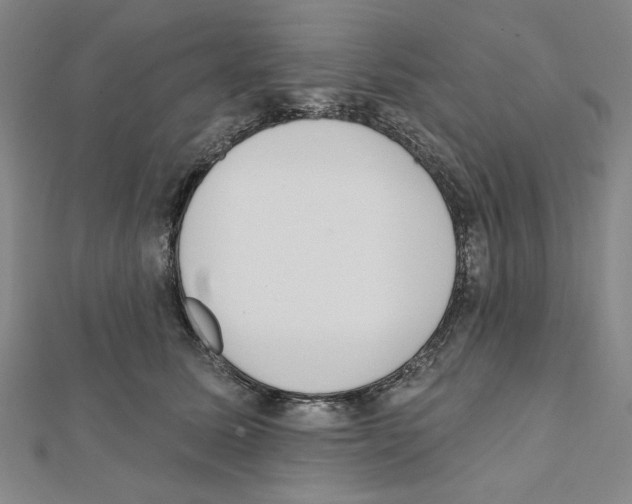 X0000111460611200908241321