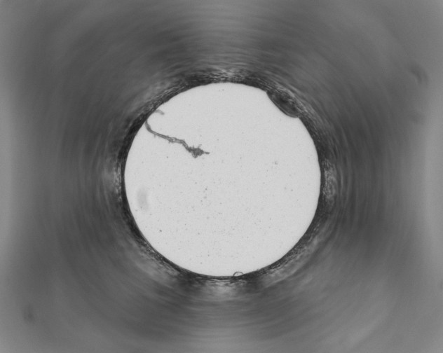 X0000111460613200908241321