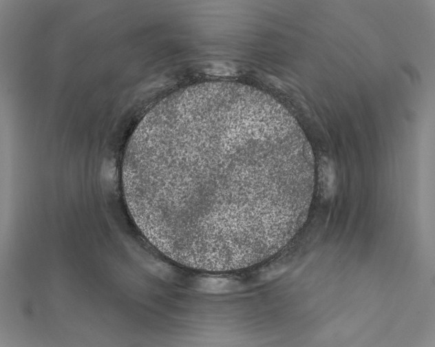 X0000111460614200908241321