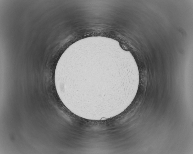 X0000111460615200908241321