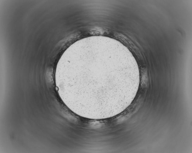 X0000111460616200908241321
