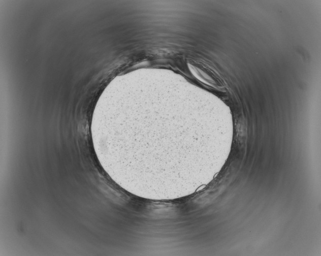 X0000111460617200908241321