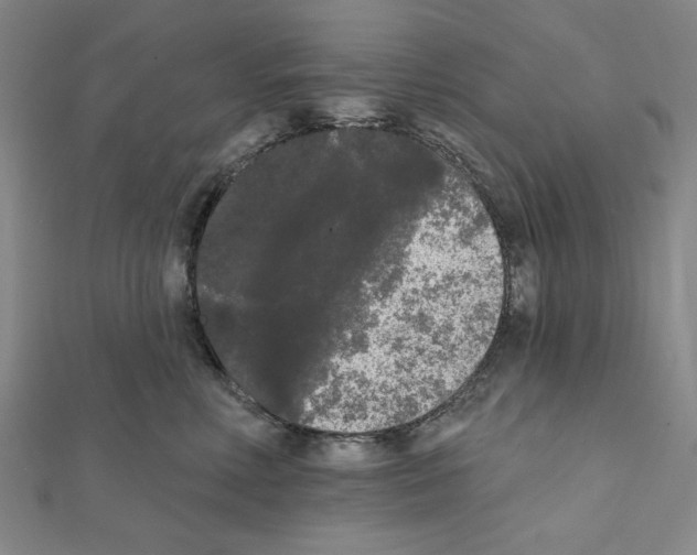 X0000111460618200908241321