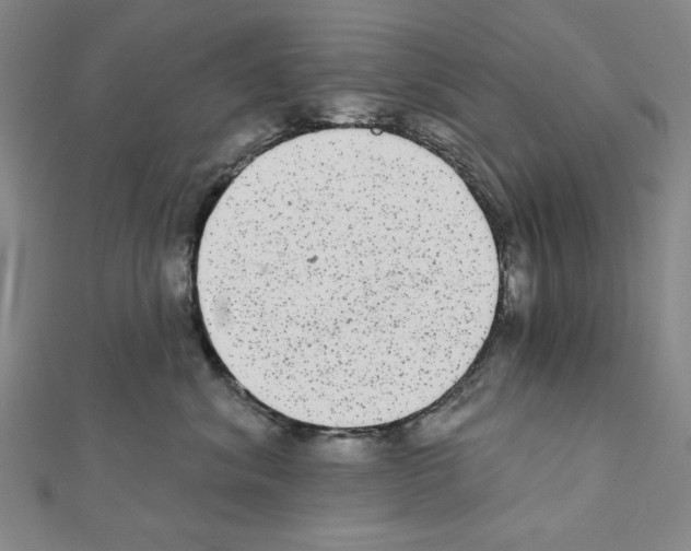 X0000111460620200908241320